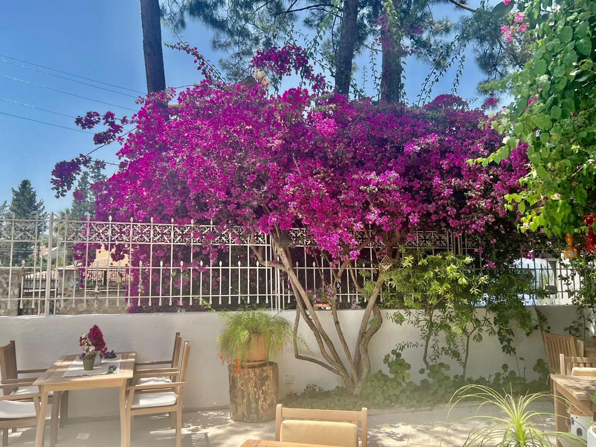 Carikci Hotel Marmaris Bagian luar foto